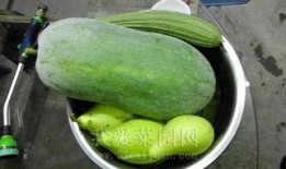 热门大瓜免费吃,免费畅享独家资讯盛宴！