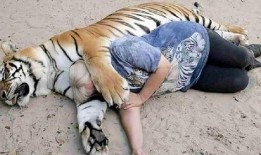 四虎吃瓜爆料视频看不了,揭秘幕后真相